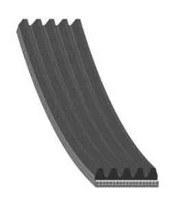 Купить JIKIU 5PK855 Ремень ручейковый